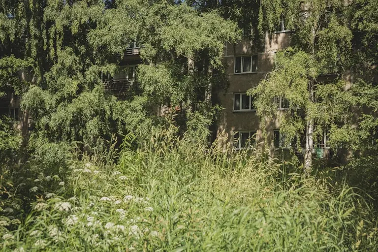 Rīgā no septembra mainīs NĪN atvieglojumu pieteikšanu