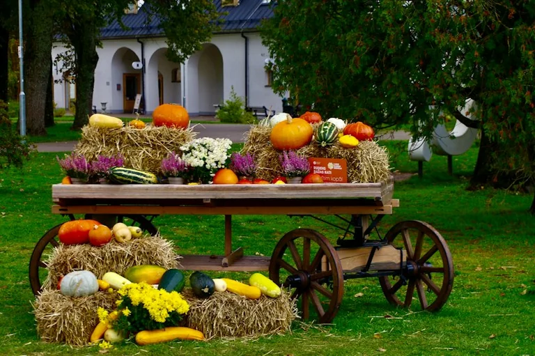 Miķeļi un Mārtiņi Latvijas rudens tradīcijās